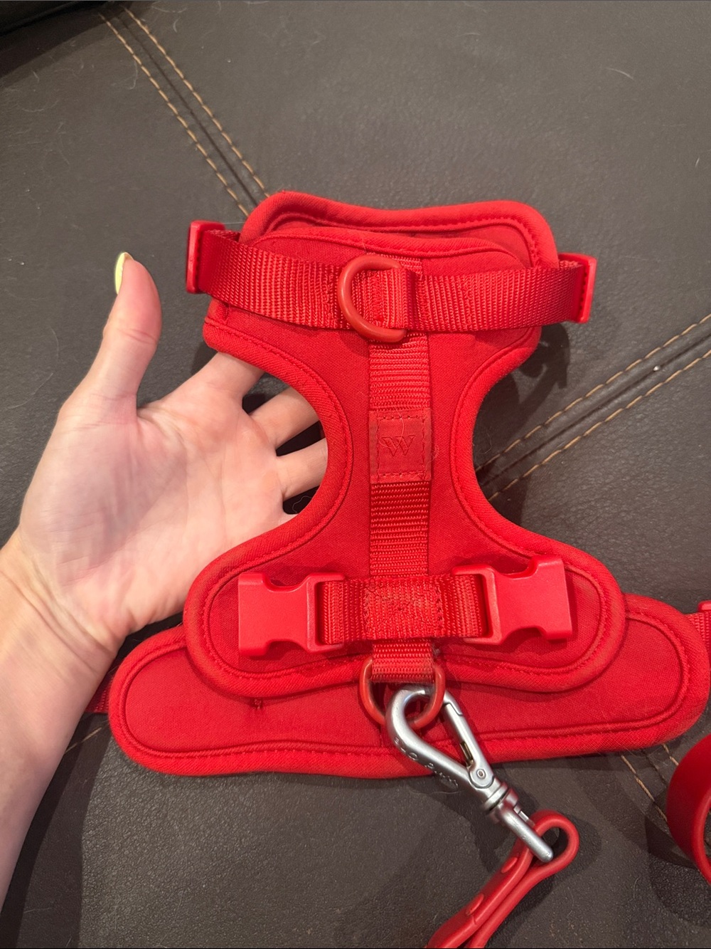 Wild One Red Small Dog Harness, X Long Leash, and Poop bag holder